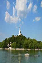 陈可心个人简历