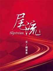 尾流自导鱼雷的工作原理