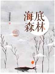 海底森林的作用是什么