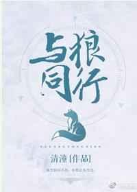 与狼同行全成就