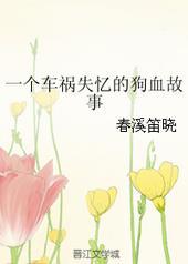 一个车祸失忆的狗血故事剧透