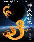 神五龙运营