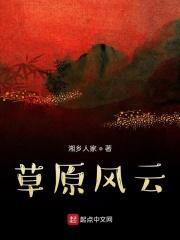 草原风云电视剧免费观看