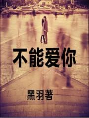 不能爱你电视剧名