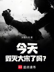 今天毁灭大宋了吗免费阅读全文