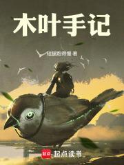 木叶手记在线阅读