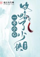 一不小心攻略了起点男主