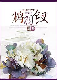 鸩羽千夜比喻什么