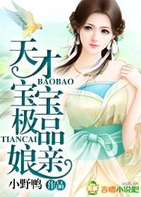 天才宝宝极品娘亲全集