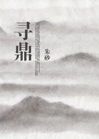 寻鼎记全文免费阅读无弹窗