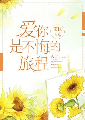 爱你是不悔的旅程书评