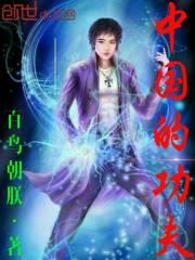 中国功夫是什么功夫